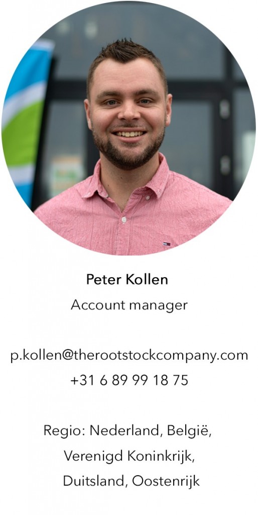 peter-kollen