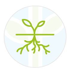 Wortels-icon